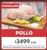 X$ - POLLO