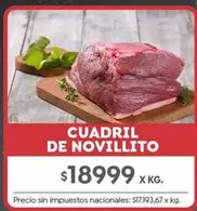 X$ - CUADRIL DE NOVILLITO