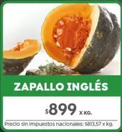 X$ - ZAPALLO INGLÉS