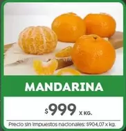 X$ - MANDARINA