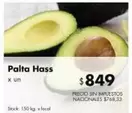 X$ - Palta Hass