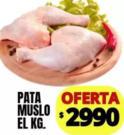 PATA MUSLO