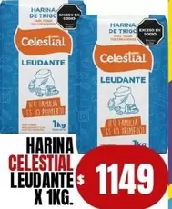 Celestial - HARINA LEUDANTE
