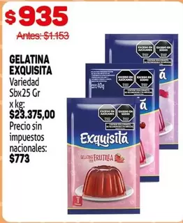 Exquisita - GELATINA