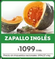X$ - ZAPALLO INGLÉS