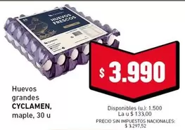 Huevos grandes