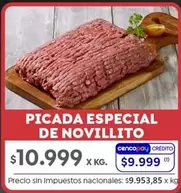X$ - PICADA ESPECIAL DE NOVILLITO