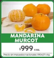 X$ - MANDARINA MURCOT