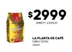 La planta de Café - Café x 125 Gr.