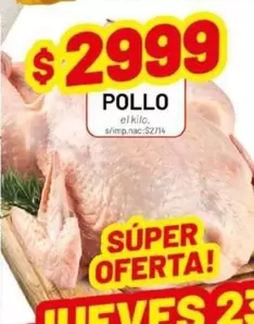 POLLO