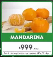 X$ - MANDARINA