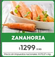 X$ - Zanahoria