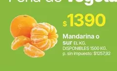 Mandarina o sur
