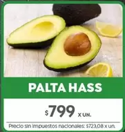 X$ - PALTA HASS