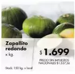 Redondo - Zapallito redondo
