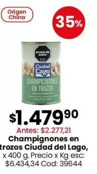 Ciudad del Lago - Champignones en trozos