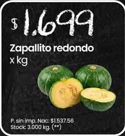 Redondo - Zapallito redondo