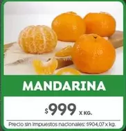 X$ - MANDARINA