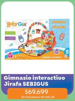 Gimnasio interactivo Jirafa