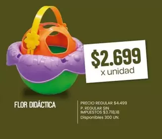 X$ - FLOR DIDÁCTICA