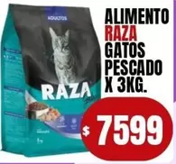 Raza - Alimento Gatos Pescado