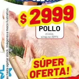POLLO