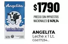 X$ - Leche Entera