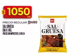 SAL GRUESA DIA X 1KG