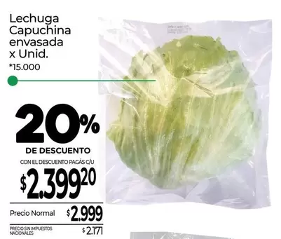 X$ - Lechuga Capuchina