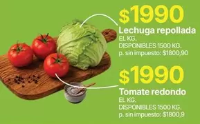 Redondo - Lechuga repollada EL KG.