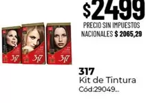 317 - Kit de Tintura Cód:29049