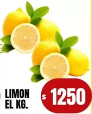 LIMON EL KG.