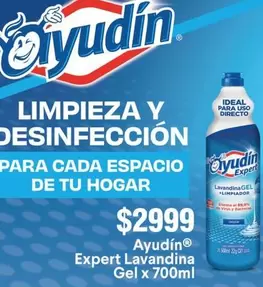 Ideal - Expert Lavandina Gel