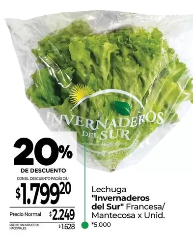 Patagonia - Lechuga Francesa/Mantecosax