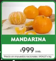 X$ - MANDARINA