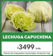 X$ - LECHUGA CAPUCHINA