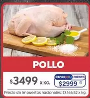 X$ - POLLO