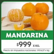 X$ - MANDARINA