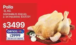 Pollo