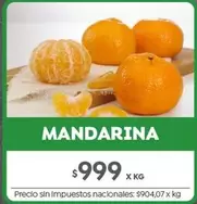 X$ - MANDARINA