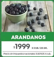 X$ - ARANDANOS