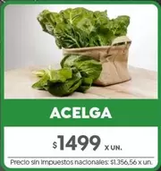 X$ - ACELGA