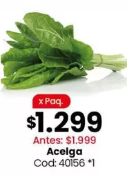 X$ - Acelga Cod: 40156