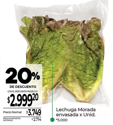 X$ - Lechuga Morada