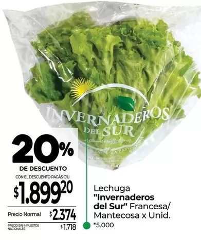 X$ - Lechuga Francesa/Mantecosax Unid.
