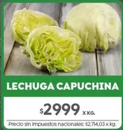 X$ - LECHUGA CAPUCHINA