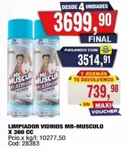 Platinum - LIMPIADOR VIDRIOS X 360 CC
