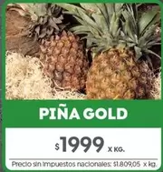 X$ - PIÑA GOLD