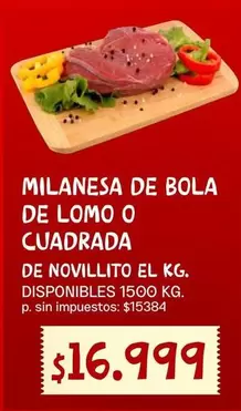 MILANESA DE BOLA DE LOMO O CUADRADA