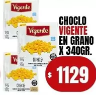 Vigente - Choclo en Grano